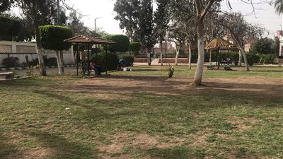 العظمى 31.. انخفاض درجات الحرارة في الدقهلية