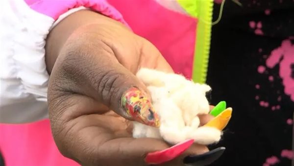 قطف القطن -تعبيرية