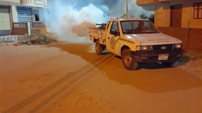 صحة الدقهلية: تكثيف أعمال الرش لمقاومة البعوض والحشرات استعدادًا لعيد الفطر