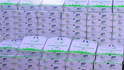 كعك وبسكويت.. عيدية صناع الخير للأسر الأولى بالرعاية في الفيوم والبحيرة