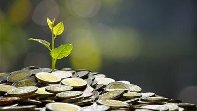 متى يجب إخراج زكاة الفطر؟.. أمين الفتوى يحسم الجدل