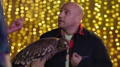 تعليق الفنانين بعد ظهورهم في مهرجان المزاريطة ضمن أحداث مسلسل الكبير أوي 6 | فيديو