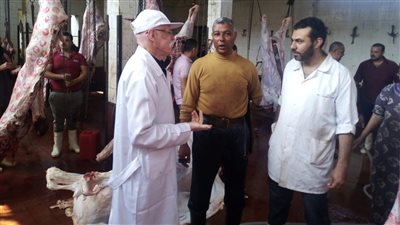 ضبط 58 كيلو لحوم مجهولة المصدر ومذبوحة خارج المجازر بالغربية |صور