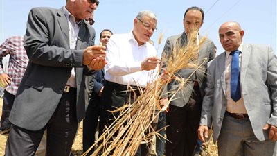 محافظ المنيا: توريد 24 ألف طن قمح إلى الشون والصوامع