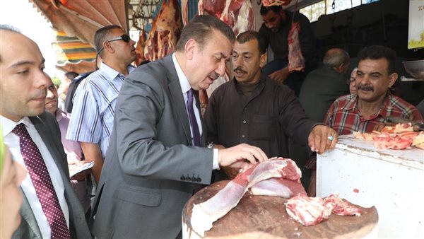 محافظ المنوفية يتفقد