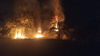 اندلاع حريق هائل في أحد زراعات النخيل بأسوان