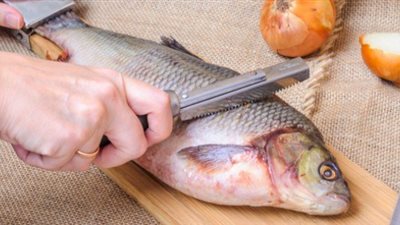 أسعار الأسماك في سوق العبور للجملة اليوم الأربعاء 28 ديسمبر 2022