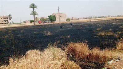 السيطرة على حريق اندلع في حوش مواشي وقطعة أرض منزرعة بالقمح بسوهاج