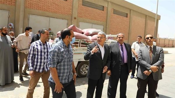 توريد القمح بالمنيا