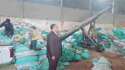 تموين بورسعيد: توريد 900 طن قمح إلى الشون الحكومية 