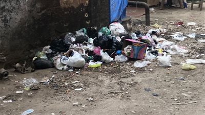 استجابة لشكاوي المواطنين.. رفع تراكمات القمامة بشارع سعد زغلول بمنيا القمح 