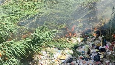 السيطرة على حريق محدود بجوار شريط السكة الحديد بطنطا | صور 