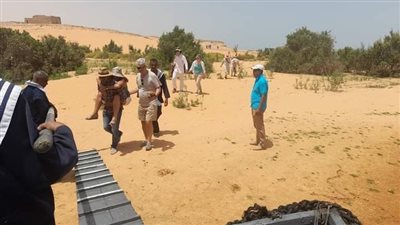 إصابة سائحة برازيلية بضربة شمس في أسوان.. ومرشد سياحي حملها لمسافة 300 متر