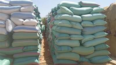 محافظ المنيا: انتظام استلام الأقماح من الموردين والمزارعين وتوريد 48 ألف طن 