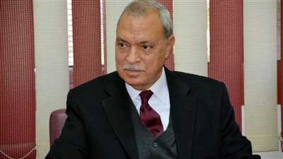 محافظ القليوبية: إنشاء كوبري القناطر المعدني بتكلفة 507 مليون جنيه 