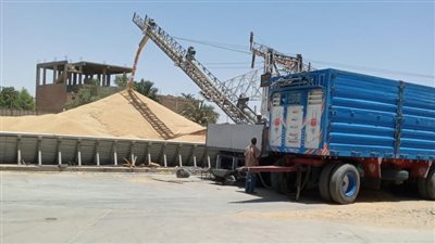 وزير الزراعة يوجه بتخفيض أسعار تأجير معدات حصاد القمح