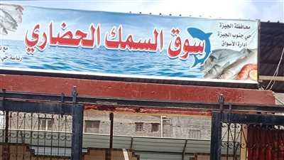نقل سوق السمك بالجيزة لشارع ربيع الجزيري 