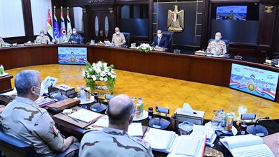 السيسي يوجه باستكمال تطهير بعض المناطق في شمال سيناء من العناصر الإرهابية