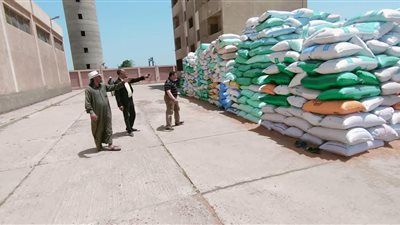 محافظ الدقهلية: متابعة ميدانية لأعمال توريد القمح لتذليل العقبات
