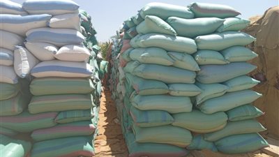 محافظ المنيا: توريد 87 ألف طن قمح منذ بداية الموسم