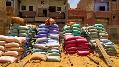 محافظ المنيا: توريد 72 ألف طن من القمح إلى الشون والصوامع