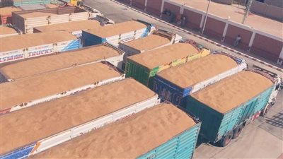 وزير الزراعة: استنباط الأصناف الجديدة كلمة السر في زيادة إنتاج القمح العام الحالي