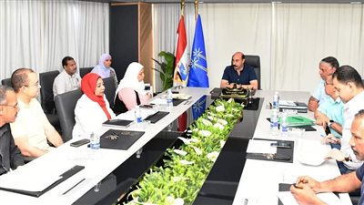 محافظ أسوان يعلن عن مشروع استثماري لإنشاء موقف سيارات النقل الثقيل بقرى كركر