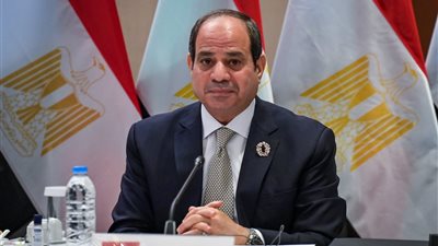 الرئيس السيسي عن أزمة الطلاق: العقد والقانون لازم يكون الحاكم والمنظم لهذه القضية | فيديو 