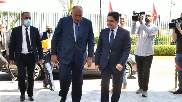 وزيرا خارجية مصر