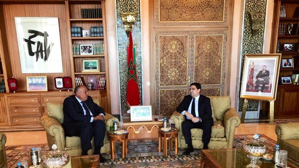 لقاء وزير الخارجية