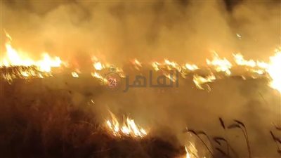  أخ يتهم شقيقه وأبناءه الثلاثة بـ حرق أرضه ليلة العيد| القصة الكاملة | صور