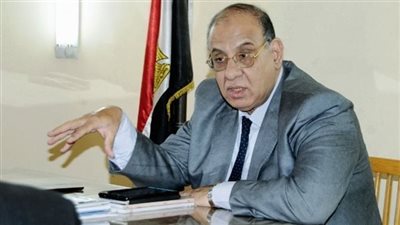 عضو مجلس أمناء الحوار الوطني: طالبت بوجود قانونين لملف المحليات