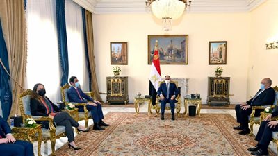 السيسي يستقبل رئيس محكمة المحاسبات الفيدرالية البرازيلية