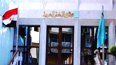 عضو بمجمع الخالدين: اللغة العربية تثير القلق في النفوس