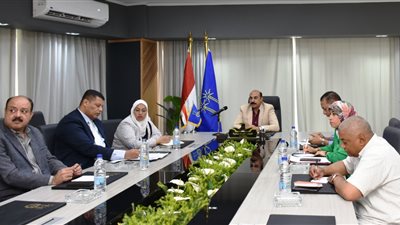 عطية يشارك في الاجتماع التحضيري لإقامة توأمة بين أسوان ومدينة كوانجو الكورية