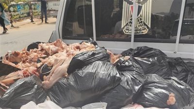 ضبط 15 طن لحوم غير صالحة للاستهلاك في حملات رقابية بأسواق الإسكندرية 