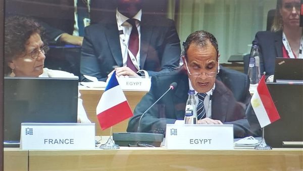 سفير مصر لدى الاتحاد