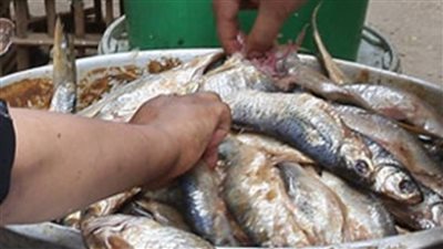 ملوحة بها سم فئران.. قرار عاجل ضد صاحب محل فسيخ تسبب في مصرع وإصابة 4 أشخاص بقنا