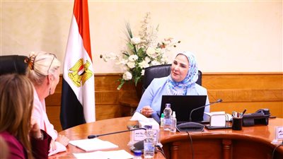 التضامن والأمم المتحدة للسكان يبحثان التعاون في تنفيذ مشروعات لحماية وتنمية الأسرة