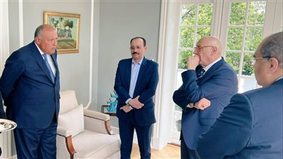 على هامش اجتماع المناخ.. وزير الخارجية يلتقي سفراء المجموعة العربية في الدنمارك | صور