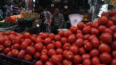 الطماطم وورق العنب يتراجعان النصف.. انخفاض أسعار الخضروات في السوق المحلي