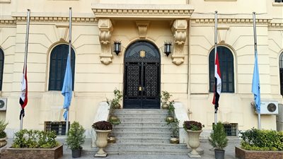 محافظة القاهرة تنكس الأعلام لمدة ثلاثة أيام حدادًا على وفاة الشيخ خلفية بن زايد 