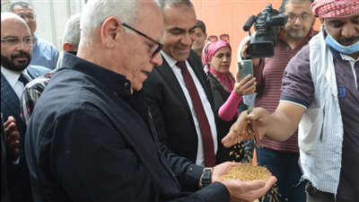 توريد 6971 طن قمح إلى الشون والصوامع الحكومية في بورسعيد