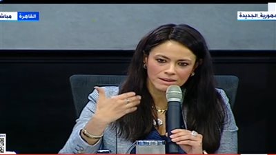 المشاط: 4.8 مليارات دولار تمويلات تنموية للقطاع الخاص خلال العامين الماضيين