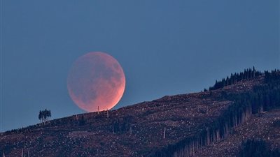 وزير الأوقاف يوضح الفرق بين صلاتي الكسوف والخسوف وكيفية أدائهما 