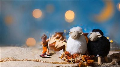 عيد الأضحى 2022 بالميلادي.. وهذه شروط شراء الأضحية