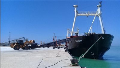 تصدير 4500 طن ملح إلى لبنان عبر ميناء العريش البحري | صور 