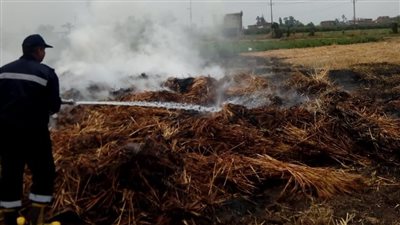 إصابة شخصين في حريق أرض زراعية بكفر شكر | صور