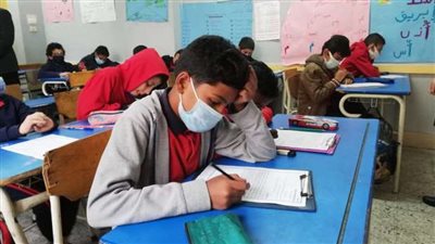 نتيجة الصف الرابع الابتدائي برقم الجلوس.. تعرف على دلالات الألوان