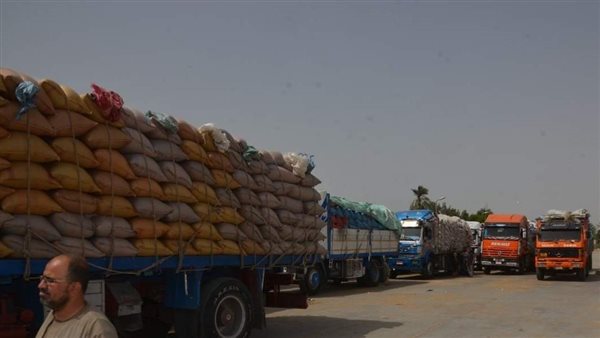 توريد محصول القمح